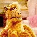 ALF